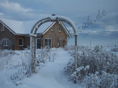 Rosenhaus von Bocksrüde im Winter